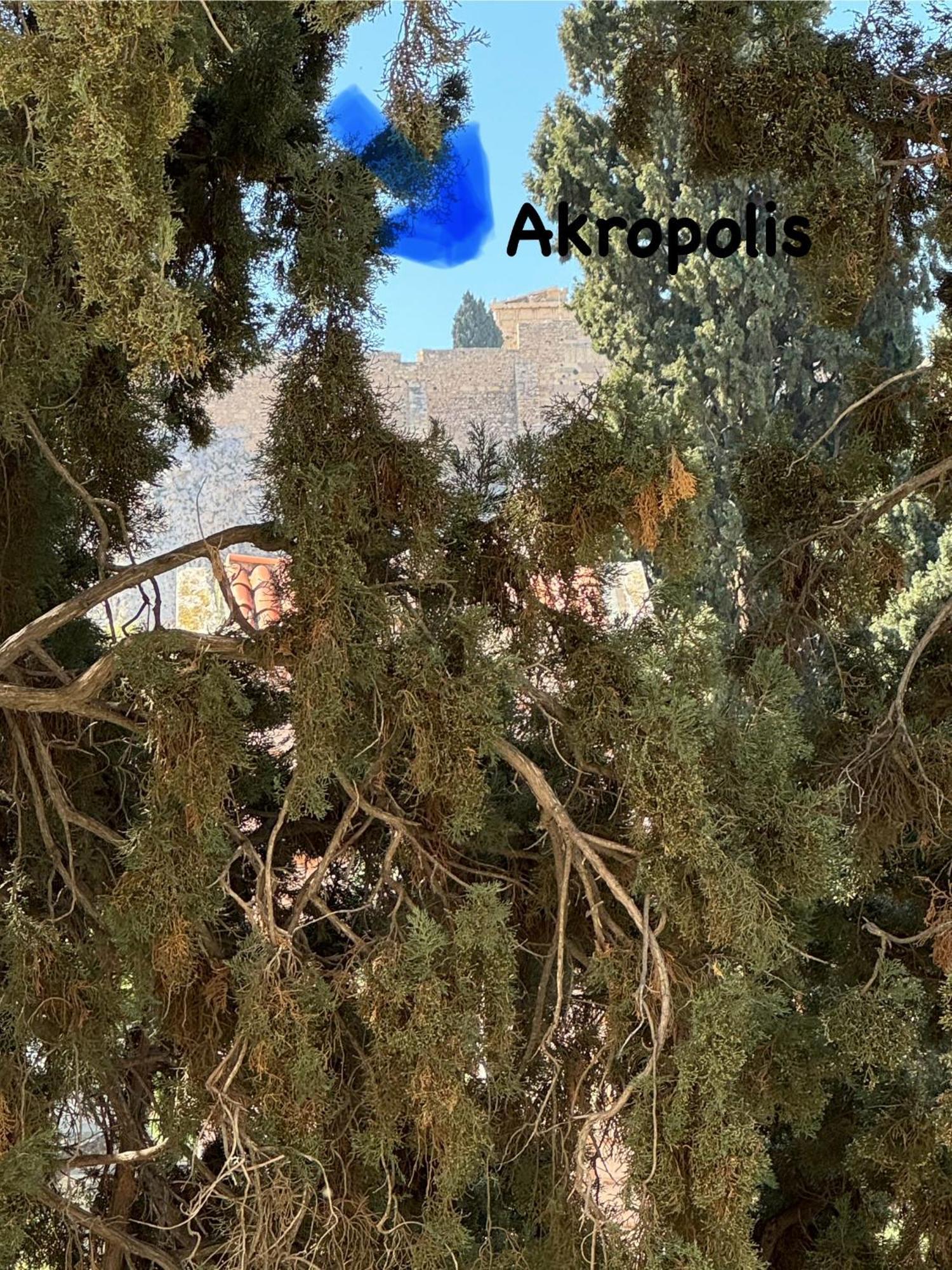 Plaka K15 Atenas Exterior foto